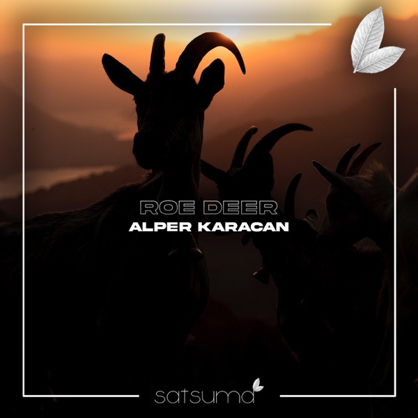 Alper Karacan — Roe Deer (Original Mix)