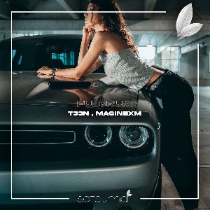 T33N , MaginexM — Fulcrum (Original Mix)