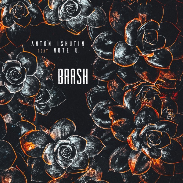 Anton Ishutin, Note U — Brash